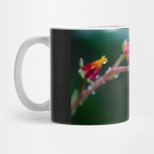 FLOWERS, NATURE’S Fashion Models Mug